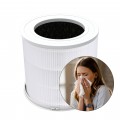 Replacement HEPA Air Purifier Filter for GCZ Air Purifier AP302 CADR 300, Original