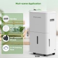 POYANK 4500 Sq. ft 75 Pint Dehumidifier for Basement, Dehumidifiers with Drain Hose for Home Bedroom Bathroom Large Room, Auto Defrost& Drain, 24H Timer, 1.59 Gallon Water Tank, Dry Clothes